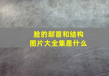 脸的部首和结构图片大全集是什么