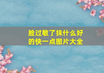 脸过敏了抹什么好的快一点图片大全