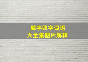 脾字四字词语大全集图片解释