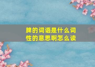 脾的词语是什么词性的意思啊怎么读