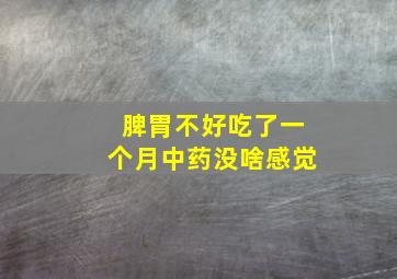 脾胃不好吃了一个月中药没啥感觉