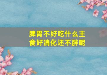 脾胃不好吃什么主食好消化还不胖呢