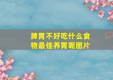 脾胃不好吃什么食物最佳养胃呢图片