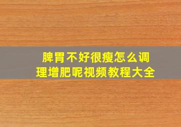 脾胃不好很瘦怎么调理增肥呢视频教程大全