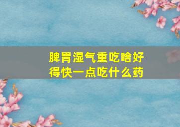 脾胃湿气重吃啥好得快一点吃什么药