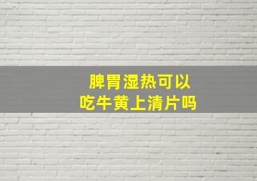 脾胃湿热可以吃牛黄上清片吗