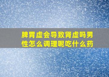 脾胃虚会导致肾虚吗男性怎么调理呢吃什么药