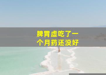 脾胃虚吃了一个月药还没好