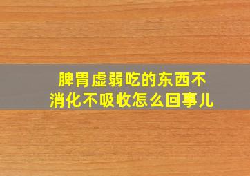 脾胃虚弱吃的东西不消化不吸收怎么回事儿