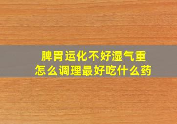 脾胃运化不好湿气重怎么调理最好吃什么药