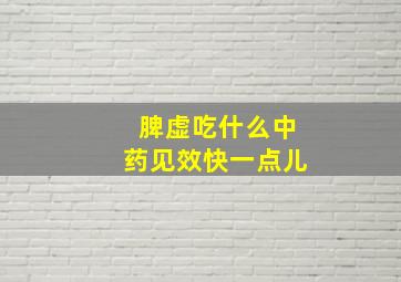 脾虚吃什么中药见效快一点儿