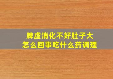 脾虚消化不好肚子大怎么回事吃什么药调理