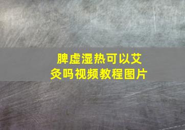 脾虚湿热可以艾灸吗视频教程图片