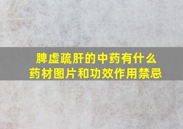 脾虚疏肝的中药有什么药材图片和功效作用禁忌