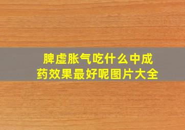 脾虚胀气吃什么中成药效果最好呢图片大全