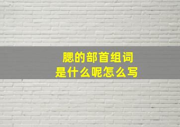 腮的部首组词是什么呢怎么写