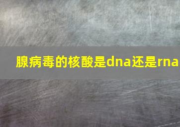 腺病毒的核酸是dna还是rna