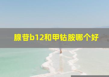 腺苷b12和甲钴胺哪个好