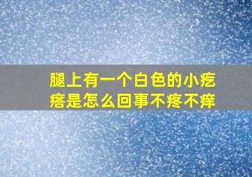 腿上有一个白色的小疙瘩是怎么回事不疼不痒