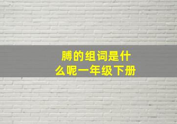 膊的组词是什么呢一年级下册