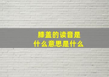 膝盖的读音是什么意思是什么