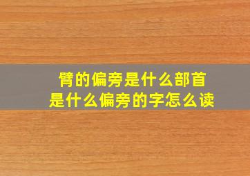 臂的偏旁是什么部首是什么偏旁的字怎么读