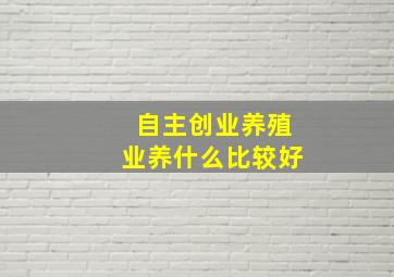 自主创业养殖业养什么比较好