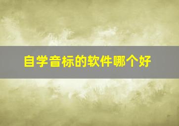 自学音标的软件哪个好