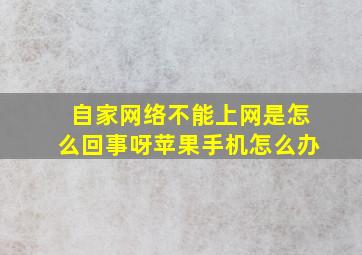 自家网络不能上网是怎么回事呀苹果手机怎么办