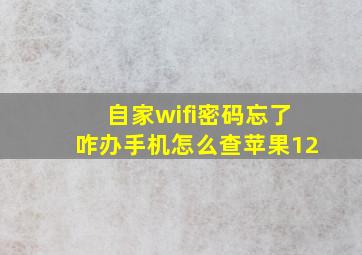 自家wifi密码忘了咋办手机怎么查苹果12