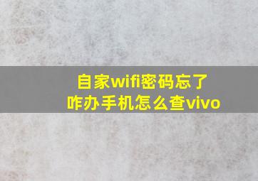 自家wifi密码忘了咋办手机怎么查vivo