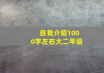 自我介绍1000字左右大二年级