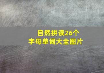 自然拼读26个字母单词大全图片