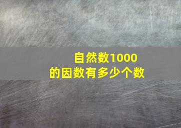 自然数1000的因数有多少个数