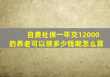 自费社保一年交12000的养老可以领多少钱呢怎么算