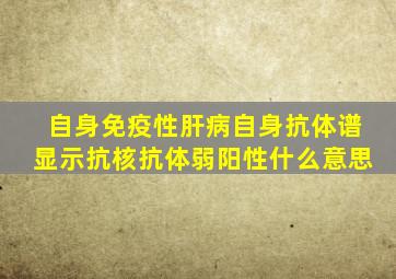 自身免疫性肝病自身抗体谱显示抗核抗体弱阳性什么意思