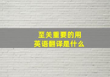 至关重要的用英语翻译是什么