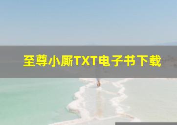 至尊小厮TXT电子书下载