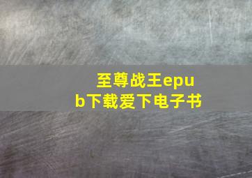 至尊战王epub下载爱下电子书