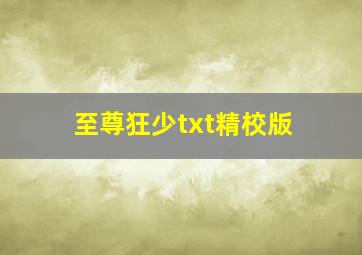 至尊狂少txt精校版