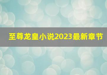 至尊龙皇小说2023最新章节