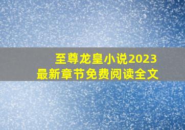 至尊龙皇小说2023最新章节免费阅读全文