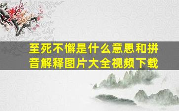 至死不懈是什么意思和拼音解释图片大全视频下载