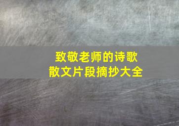 致敬老师的诗歌散文片段摘抄大全