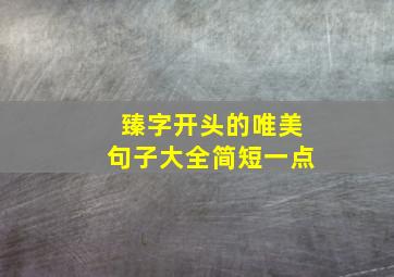 臻字开头的唯美句子大全简短一点