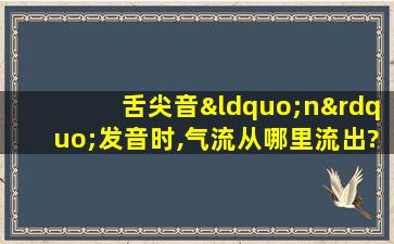 舌尖音“n”发音时,气流从哪里流出?