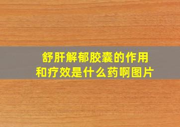 舒肝解郁胶囊的作用和疗效是什么药啊图片