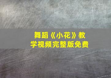 舞蹈《小花》教学视频完整版免费