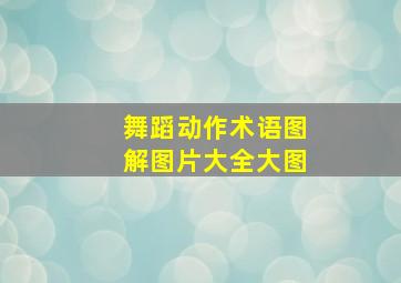 舞蹈动作术语图解图片大全大图