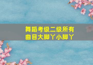 舞蹈考级二级所有曲目大脚丫小脚丫